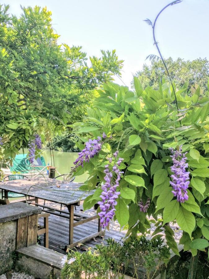 Quai Des Fleurs Panzió Saint-Savinien Kültér fotó