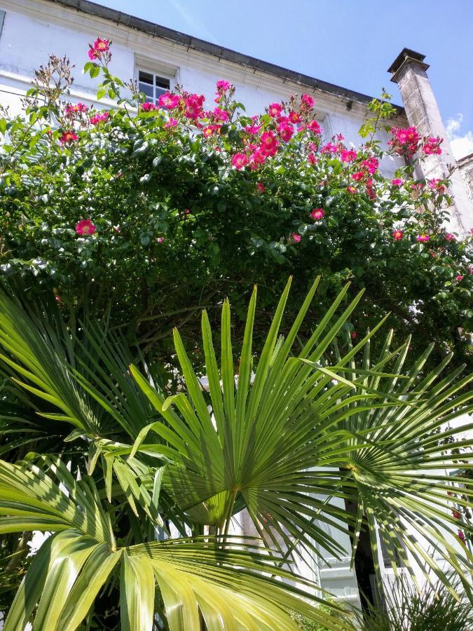 Quai Des Fleurs Panzió Saint-Savinien Kültér fotó